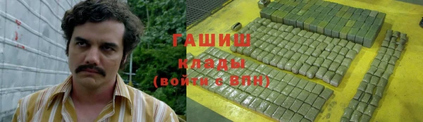 прущие грибы Алагир