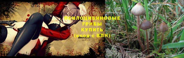 мет Анжеро-Судженск