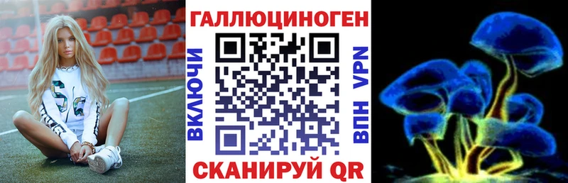 МЕГА tor  наркота  Мценск  Псилоцибиновые грибы ЛСД 