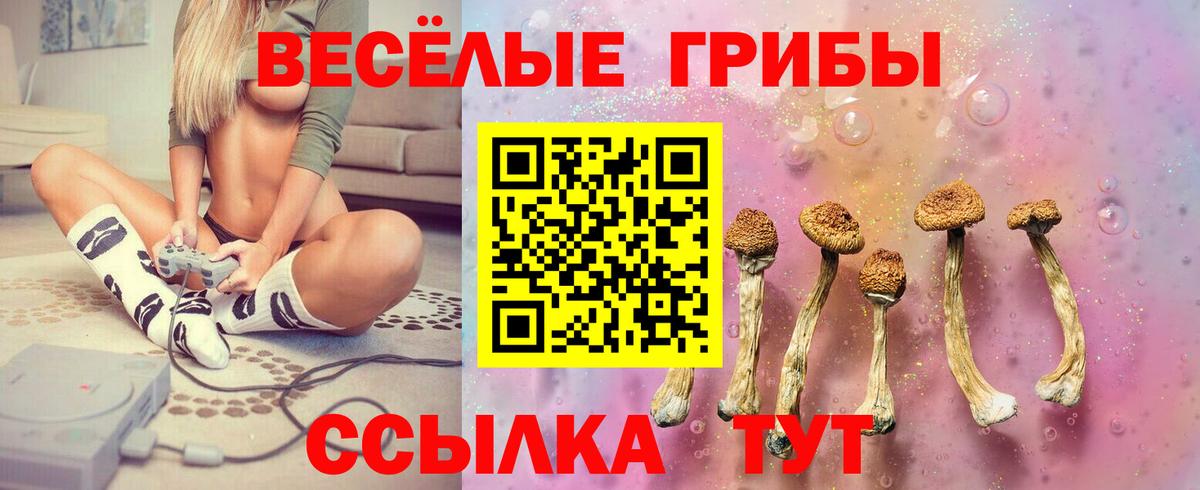 Псилоцибиновые грибы ЛСД Мценск