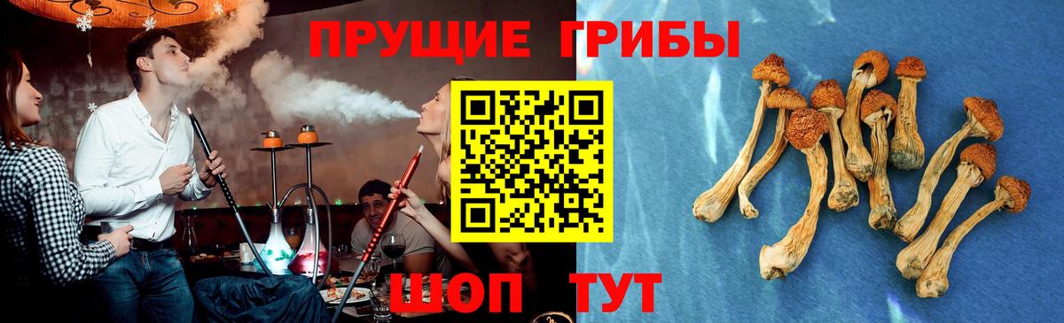 Галлюциногенные грибы Magic Shrooms  Вход с VPN  Мценск 